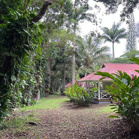Evasion Bungalow D'Antan Spa Sarramea Bagian luar foto