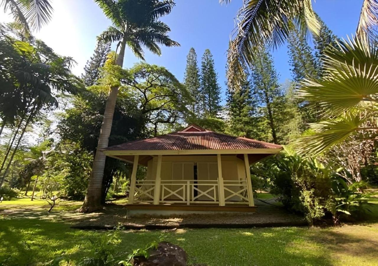 Evasion Bungalow D'Antan Spa Sarramea Bagian luar foto