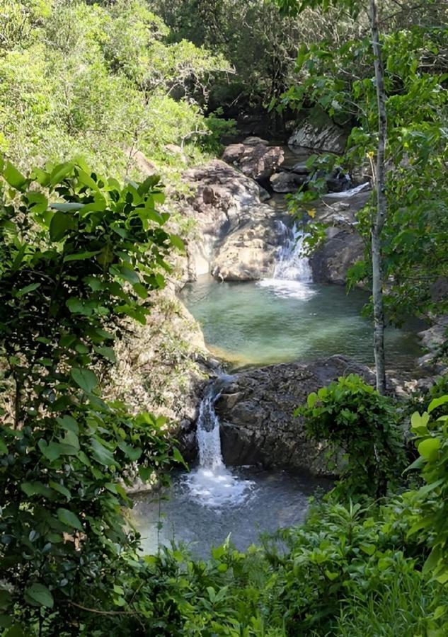 Evasion Bungalow D'Antan Spa Sarramea Bagian luar foto